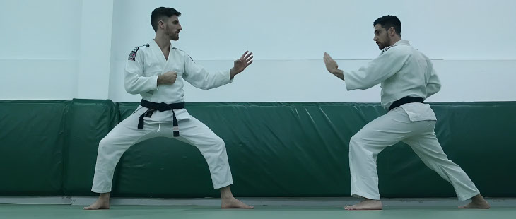 Jiu-Jitsu Tradicional